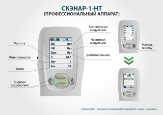 СКЭНАР-1-НТ (исполнение 01)  в Волжске купить Скэнар официальный сайт - denasvertebra.ru 