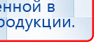 СКЭНАР-1-НТ (исполнение 01 VO) Скэнар Мастер купить в Волжске, Аппараты Скэнар купить в Волжске, Скэнар официальный сайт - denasvertebra.ru